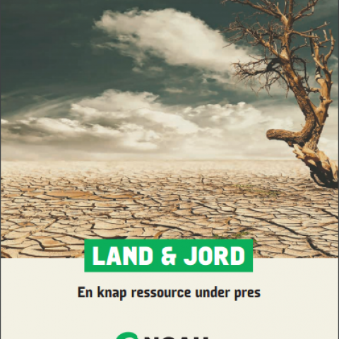 Landgrabbing, undervisning