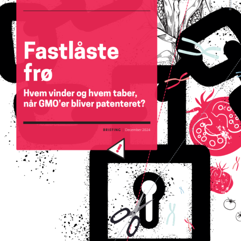 Fastlåste frø - forside