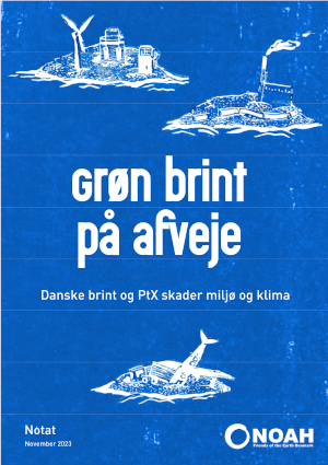 Grøn brint på afveje