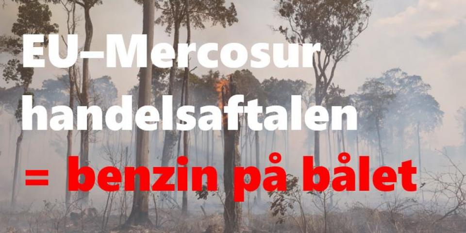 EU-Mercosur