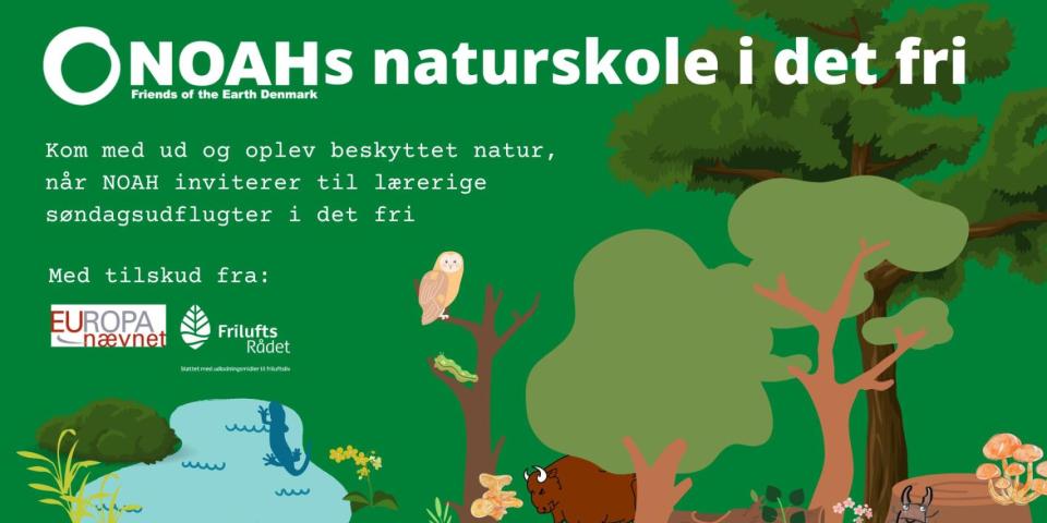 Billede der illustrerer naturskolen