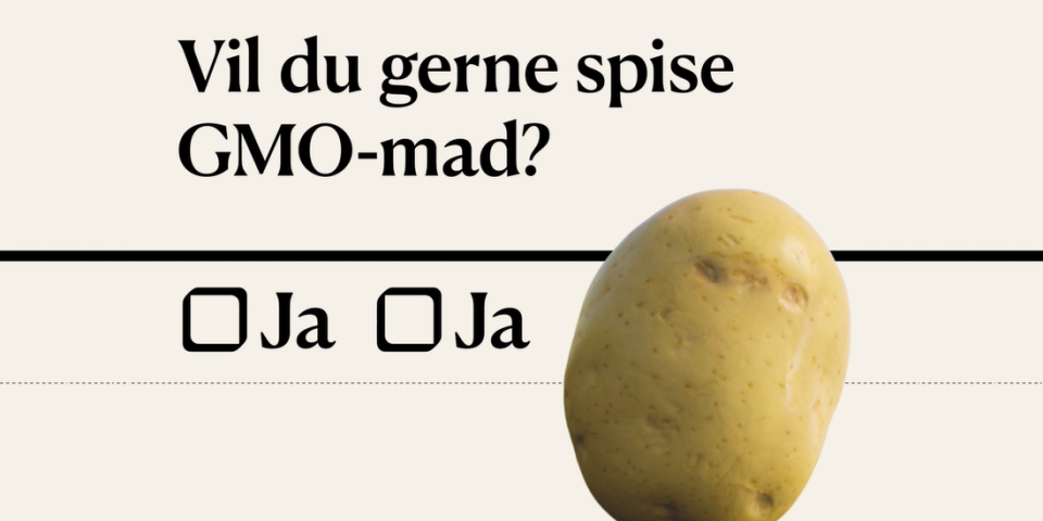 Vil du gerne spise GMO-mad